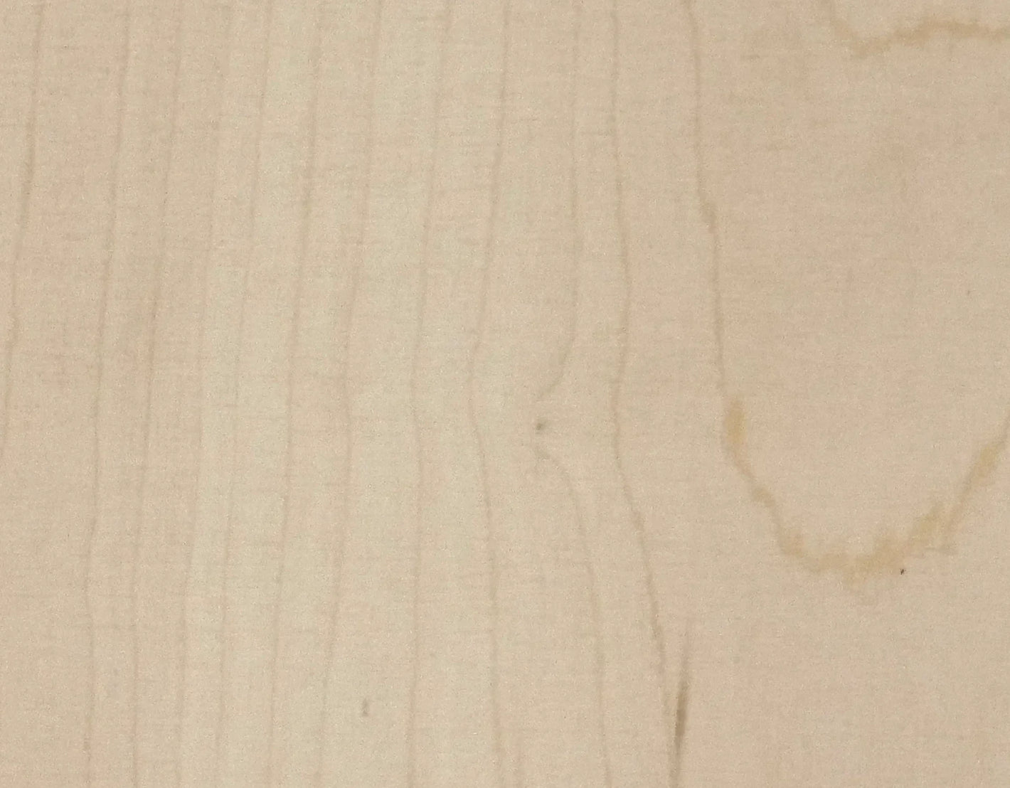 3/4" Plywood (18mm)